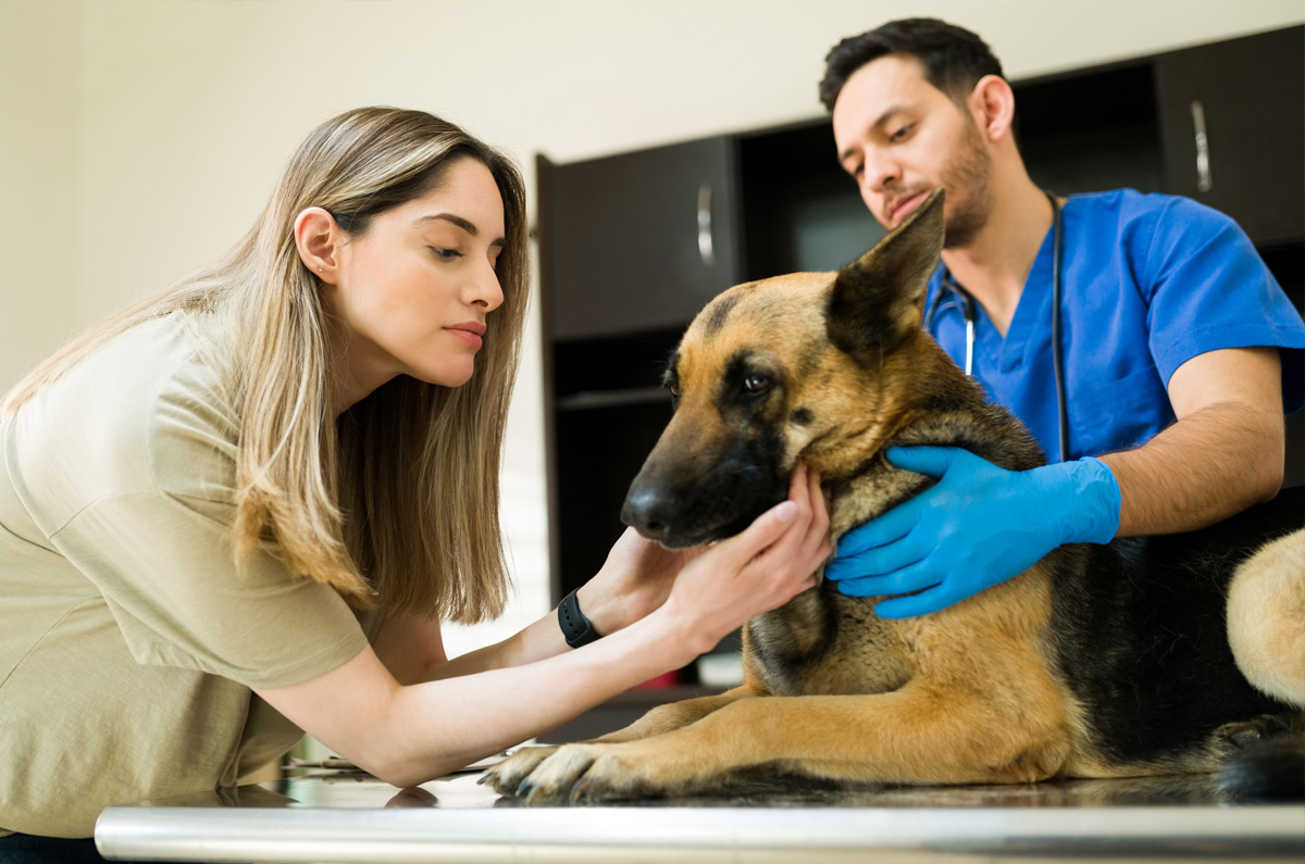 Afscheid nemen van je huisdier